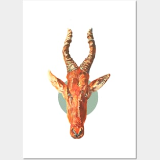 Goat head with horns Posters and Art